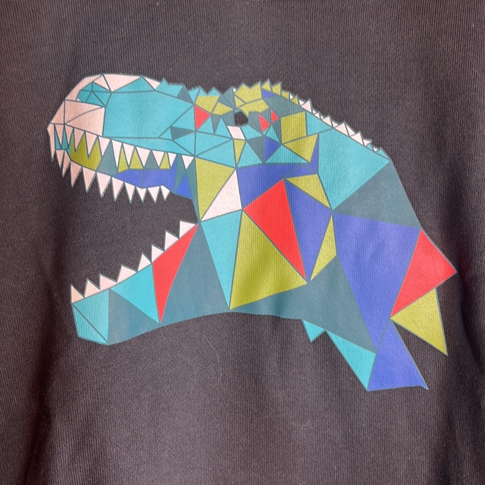 Rumi + Ryder Classic Dino 🦖 Graphic Fleece Pullover 🫶 - Picture 4 of 7